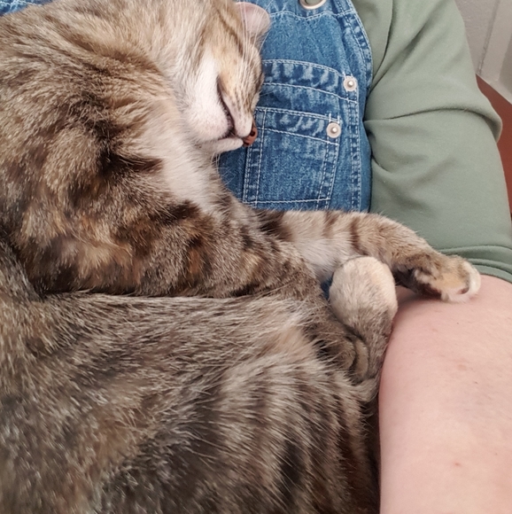 ABOUT ME - Picture 5 of 12